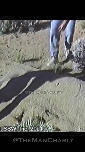 143K views · 8.4K reactions | Tremors fue Real | #tremors #terrorbajolatierra #graboide #cine #peliculas #canal5 #infancia #90s #terror | The Man Charly | Facebook