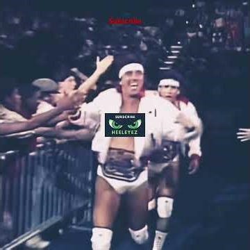 1987 WWE Survivor Series Team Demolition vs Team Strike Force #survivorseries #wrestlingbios #wwe