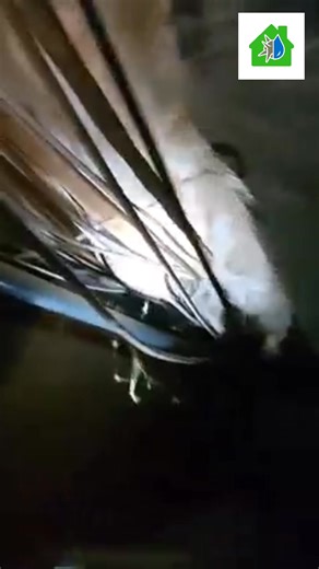 Crawlspace mold problems? Natural Restoration is your solution! We find the root issue of mold problems and offer chemical-free solutions. #MoldRemediation #crawlspace #naturalrestoration | Natural Restoration