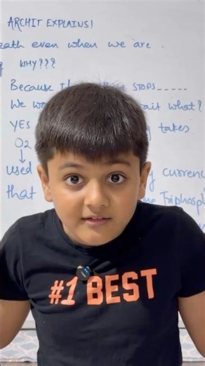 Why Do We Breathe All the Time? | Oxygen Makes Energy!😊