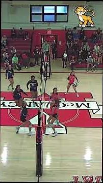 Highlights @Msgr. McClancy #volleyball #varsity #sportsequipment #volleyballworld