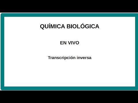 Transcripción inversa