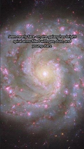 Stunning Face-On Spiral Galaxy NGC 3596 🤩🌌 #astronomy