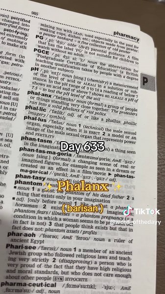 Day 633 : Phalanx #phalanx #meaning #learnenglish #book #booktok
