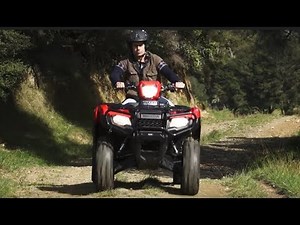 Honda 500cc ATVs