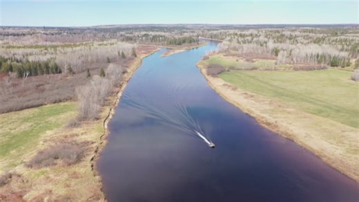 A warm Miramichi River can be lethal for salmon