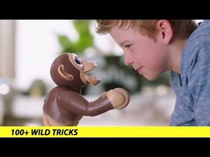 Zoomer | Meet Zoomer Chimp! | TV Commercial