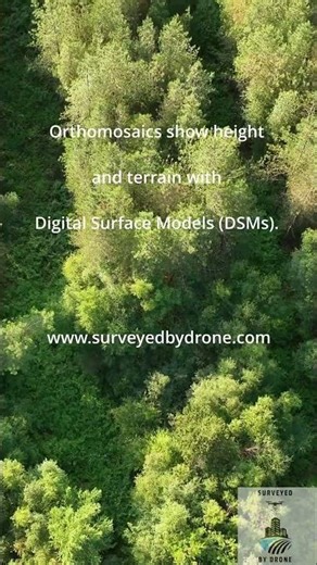 What is a DSM? Orthomosaics Show Height and Terrain