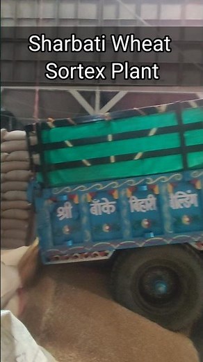 Wheat Sortex Plant | Wheat Cleaning Machine