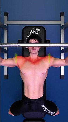 How To Bench Press With Perfect Technique