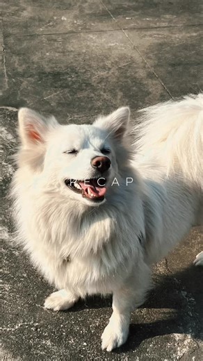 #2025tiktok #recap #heading #towardsthelight #2026