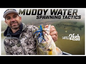 Scanlon's Guide for Stained Water Spawning Bass