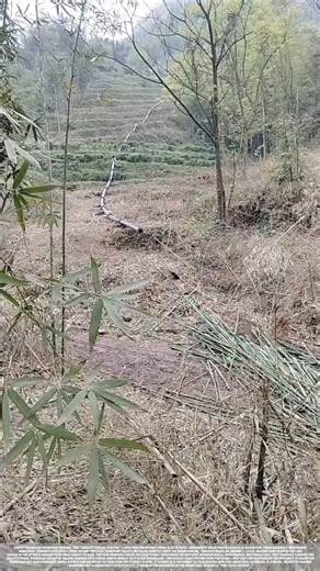 The Miracle of Gravity in the Pipes