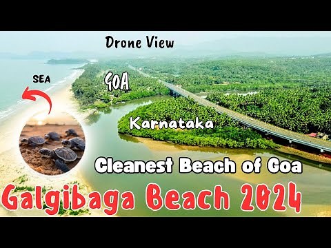 Galgibaga Beach Goa | Cleanest Beach in Goa | Turtle Nesting Beach | South Goa | Best Beach in Goa