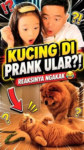 90% WRONG! IS THIS CAT REAL OR AI?! 😳 | JESLYN REACT