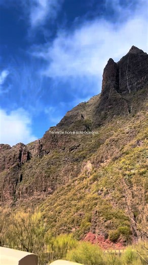 Tenerife: Oltre l'oceano, un'isola di contrasti