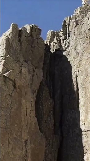 Mountain Goat Climbs an Insane Cliff! 🐐😱
