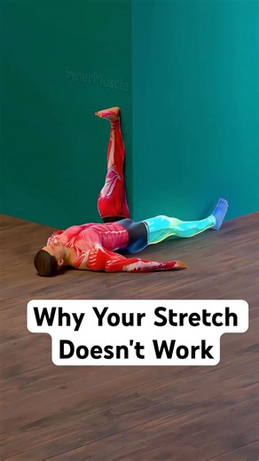 Why Most Hamstring Stretching Fails High Performers (men over 40)