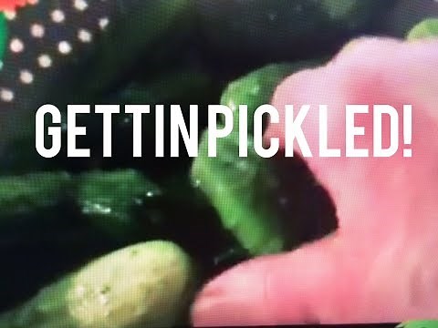 How to Make Fermented Salt Cucumber Pickles Easy Cooking Class Recipe