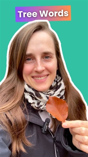 lingoni GERMAN on Instagram: "Learning German words about trees 🌳 Practice what we teach with our app! Explore it ✨FOR FREE✨ at lingoni.com/trial #nativegerman #learngerman #deutsch #german #realgerman #learngermanonline #lingoni #lingonigerman #germany"