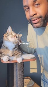 9.8K views · 774 reactions | Centaur has a 100% success rate, her definition of rolling is just more broad than yours  #funnycats #kittens #rollover | Fostering kittens | Facebook