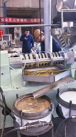 Cold Pressed Rapeseed Oil Extraction | Automatic Oil Press Machine Working