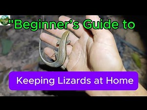 "Beginner’s Guide to Keeping Lizards at Home