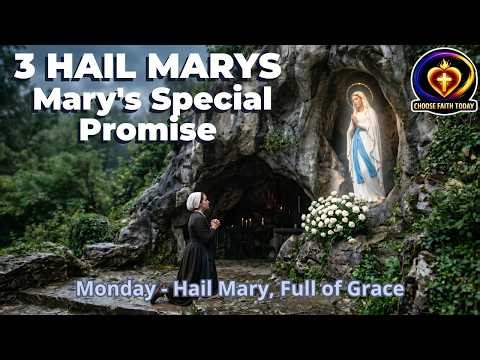 Pray the 3 Hail Marys for Protection Today 🙏 Powerful Catholic Prayer to Mary