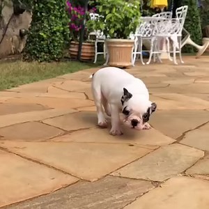 Just look at this happy little guy 😍😍 jmarcoz | UNILAD