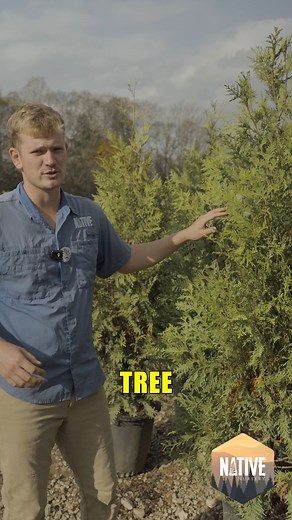  Keep your landscape looking fresh this fall and beyond.  Stop by...