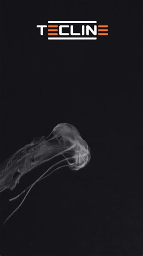 NEW! The Tecline LED Zoom Torch – 1500 lm of power in your hand. Adjustable zoom beam from 4° to 72°, lightweight aluminum body, and up to 210 min runtime. Available now in black and orange. #Tecline #TeclineDiving #DiveLight #ZoomTorch #TechDiving #ScubaGear #UnderwaterLighting | Tecline