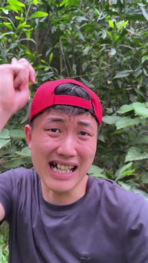 Survival Skills: Useful and Clever #outdoors #survival #campfire #bushcraft