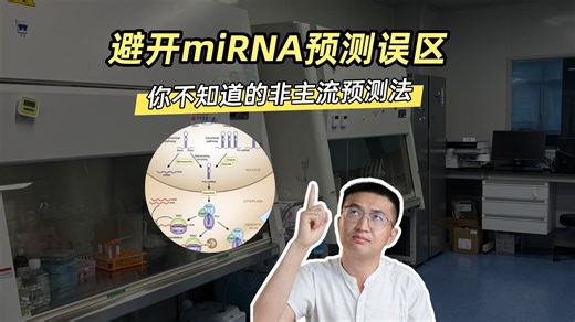 miRNA验证通关秘籍，请立即查收！#miRNA研究 #靶基因验证 #科研干货 #实验技巧 #分子生物学#基因功能研究 #质粒 #miRNA #miRNA靶基因