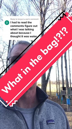 Understanding Maple Syrup Production Process