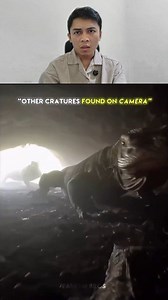 Animal secret on camera | TheGamma