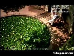丝路MTV