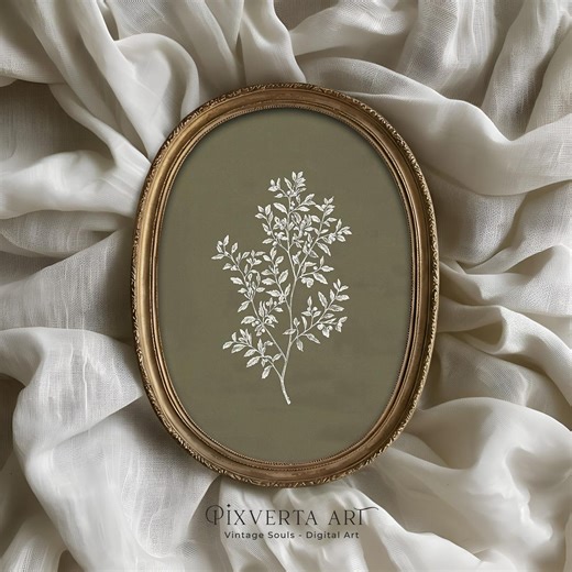 Vintage Botanical Prints, Olive Green Plant Wall Art, Cottagecore French Country Decor, Botanical Sketch - Etsy