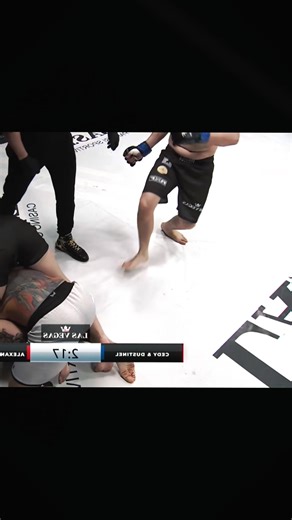 Fist Flash (@fist.flash)’s videos with Fight - BeatBrothers