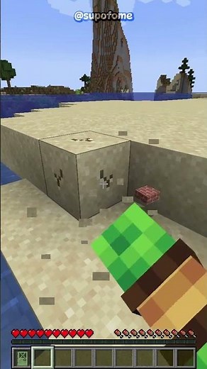 This Minecraft mod makes EVERY block drop completely random