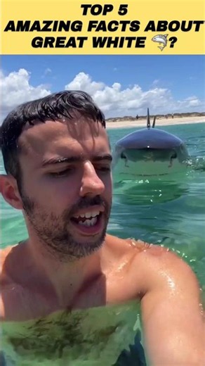 Top 5 Amazing Great White Shark Facts That Will Blow Your Mind! 🦈 #shorts