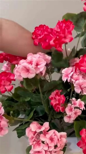 How cute for Valentine's Day? 🥰