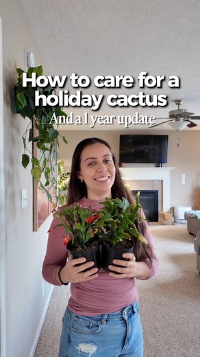 I heard you have a holiday cactus that needs some help! 🤔Care for Thanksgiving, Xmas, and Easter cactus have pretty much the same care, it’s just that its blooms are usually expected to come out closer to the season it’s named after and their leaf shapes are all different. Succulent soil mix for this one: 50% cactus/succulent potting soil and I added 25% perlite and 25 % small orchid bark chunks. We have a lot of fun here! If you have any questions feel free to ask in the comments and follow al