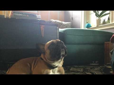 Roblox titanic but im the captain