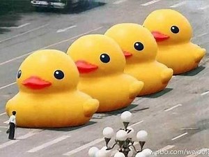 Big Yellow Duck | Know Your Meme