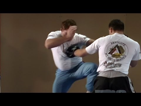 Essential Punch Defense Techniques for Fighters