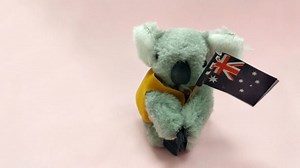 Australian & NZ Product Standards - What Importers Must Know