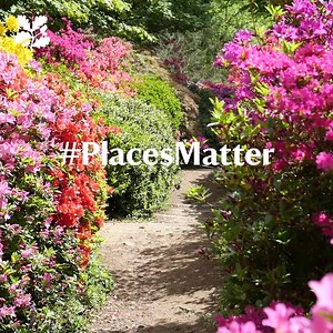 The Azalea Steps are out Winkworth Arboretum in Surrey in a blaze of colour, with almost every hue on display. http://bit.ly/2VaP87W Take the winding path down to the boathouse for some seriously good colour therapy. | National Trust London and South East