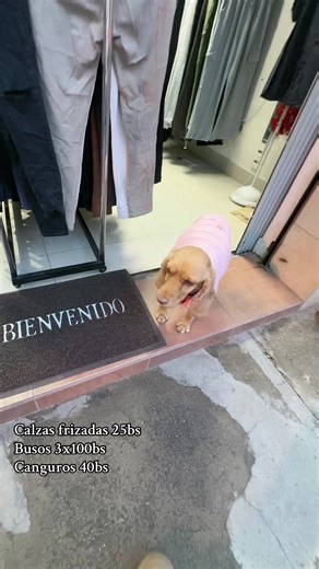 Descuentos !!! #descuentos #ofertas #liquidacion #conniestorelapaz #ropadevaron👕