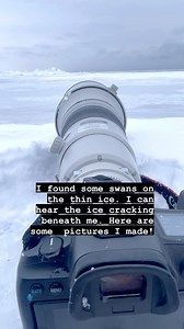 81K views · 404 reactions | The gray sky reinforces the azure blue of...