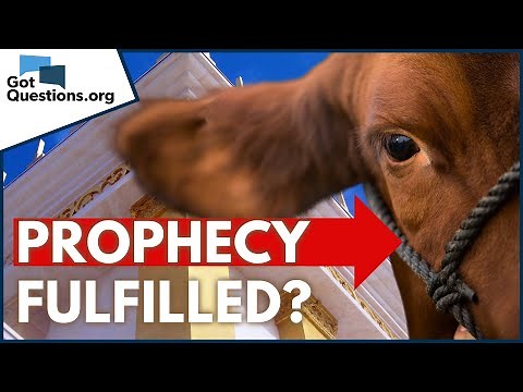 What is the significance of a red heifer in the Bible? | GotQuestions.org